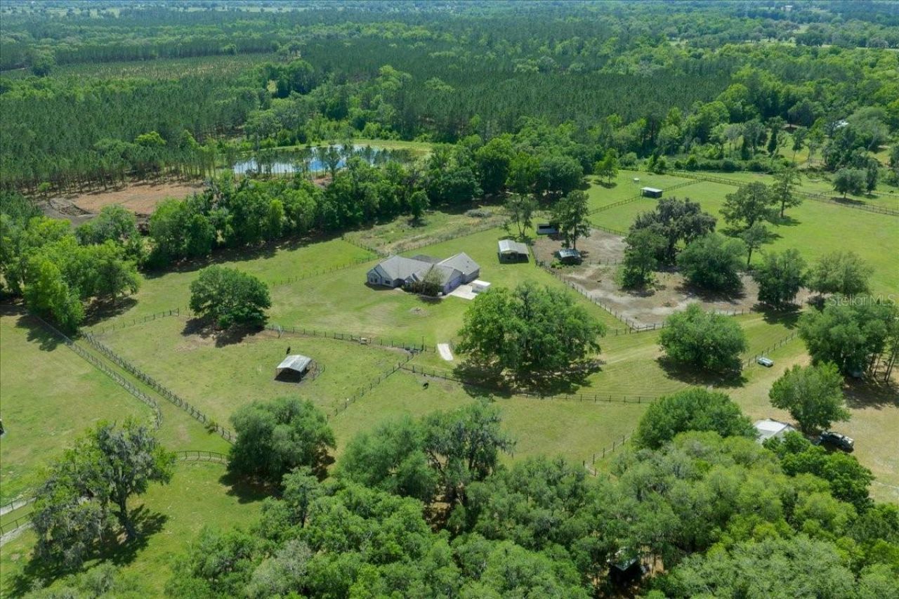 13456 W Highway 318, Williston, FL 32696 Photo