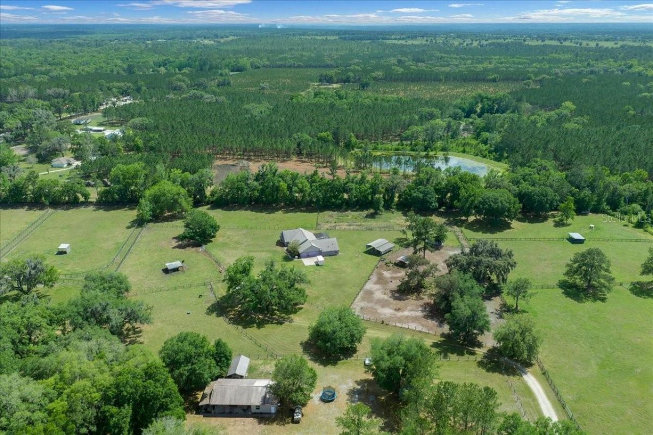 13456 W Highway 318, Williston, FL 32696 Photo