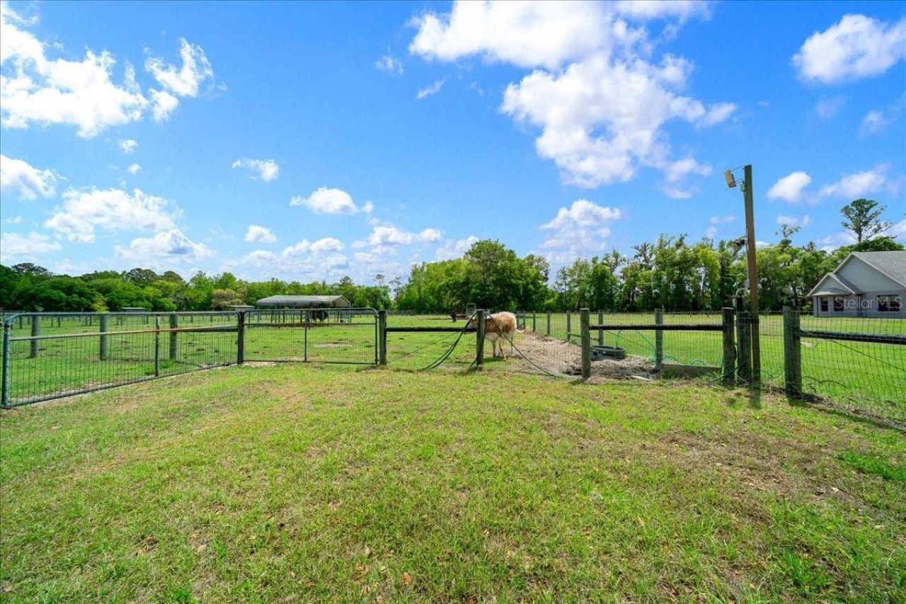 13456 W Highway 318, Williston, FL 32696 Photo