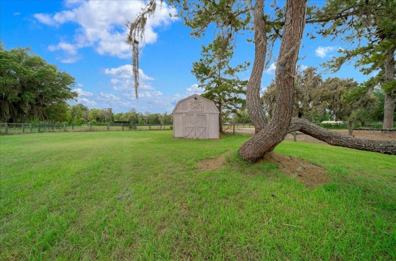 13456 W Highway 318, Williston, FL 32696 Photo