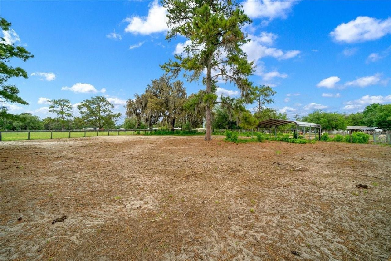 13456 W Highway 318, Williston, FL 32696 Photo