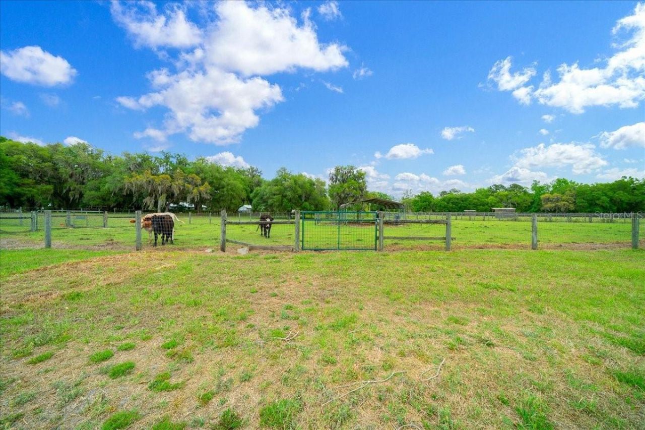 13456 W Highway 318, Williston, FL 32696 Photo