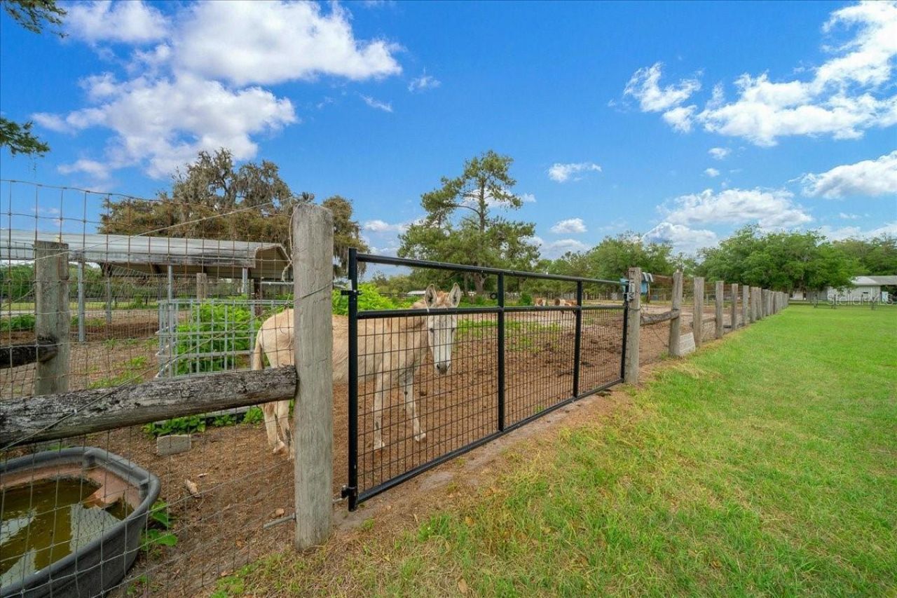 13456 W Highway 318, Williston, FL 32696 Photo