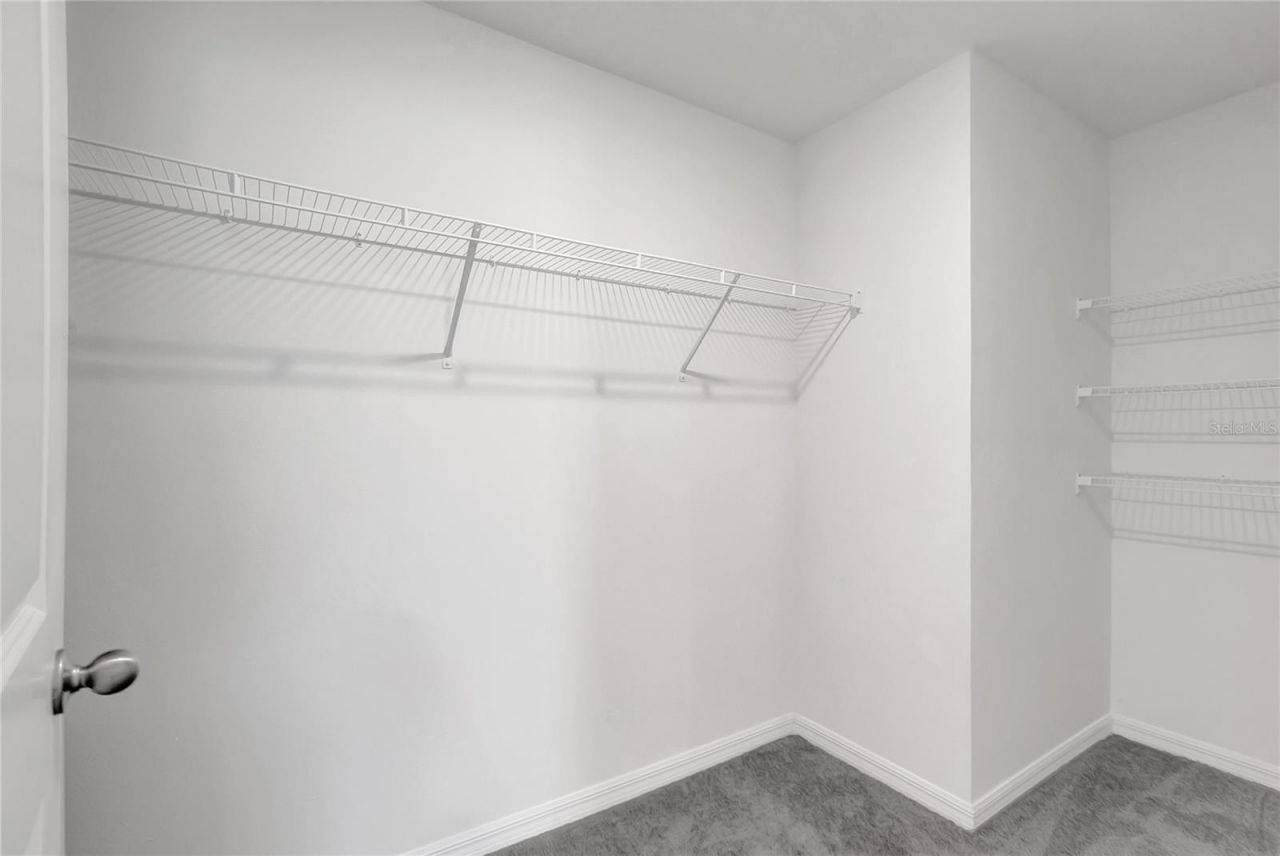 7737 Rosewood Garden Loop , Tampa, FL 33637 Photo