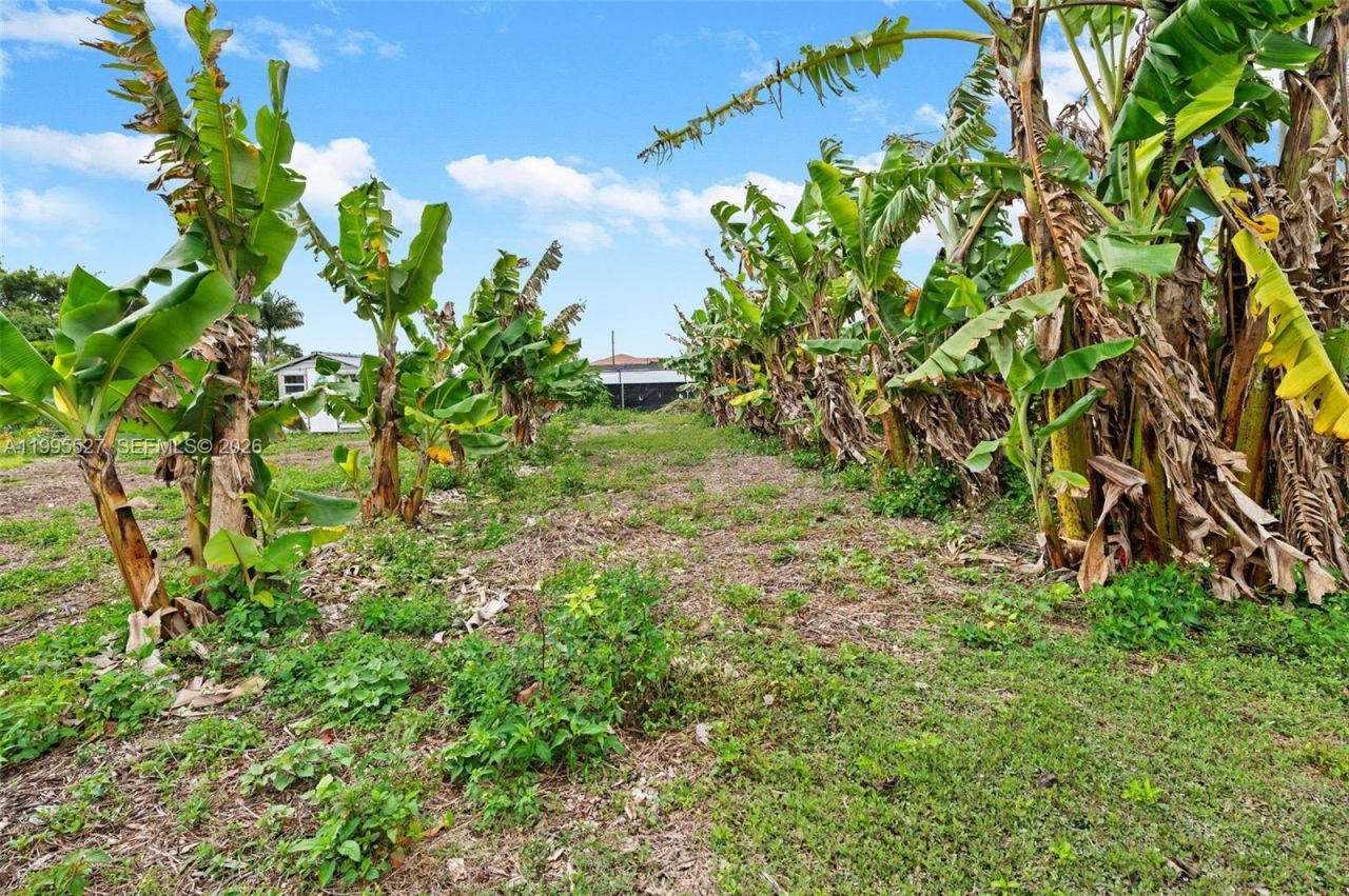 20255 SW 154th Ave, Miami, FL 33187 Photo