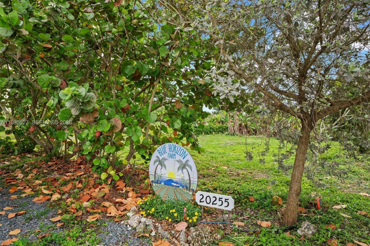 20255 SW 154th Ave, Miami, FL 33187 Photo