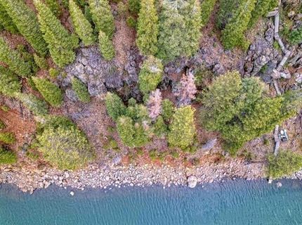 945 Lassen View Drive, Lake Almanor, CA 96137 Photo