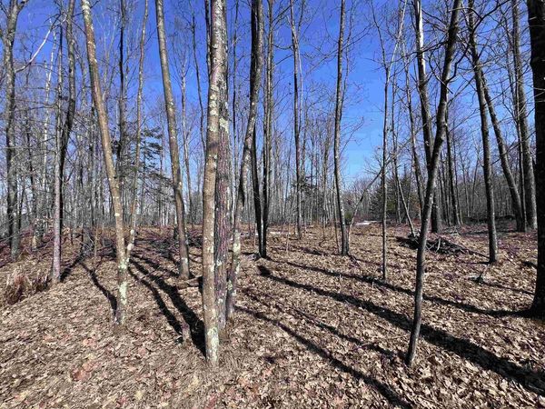 RHETT LANE, Wausaukee, WI 54177