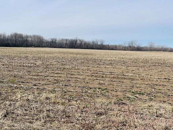 20 Acres N HUME AVENUE, Marshfield, WI 54449