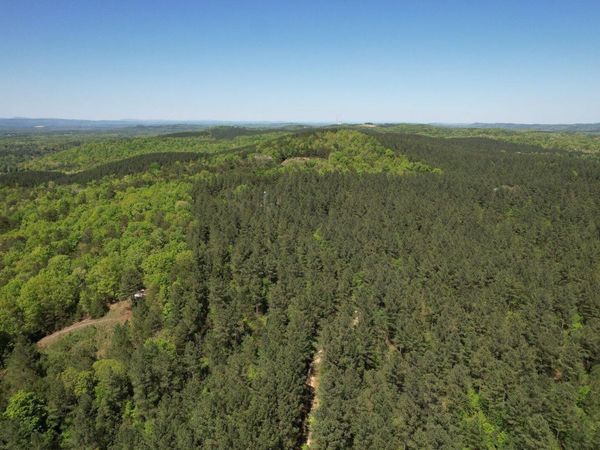 0 Colbaugh Hollow Road, Decatur, TN 37322