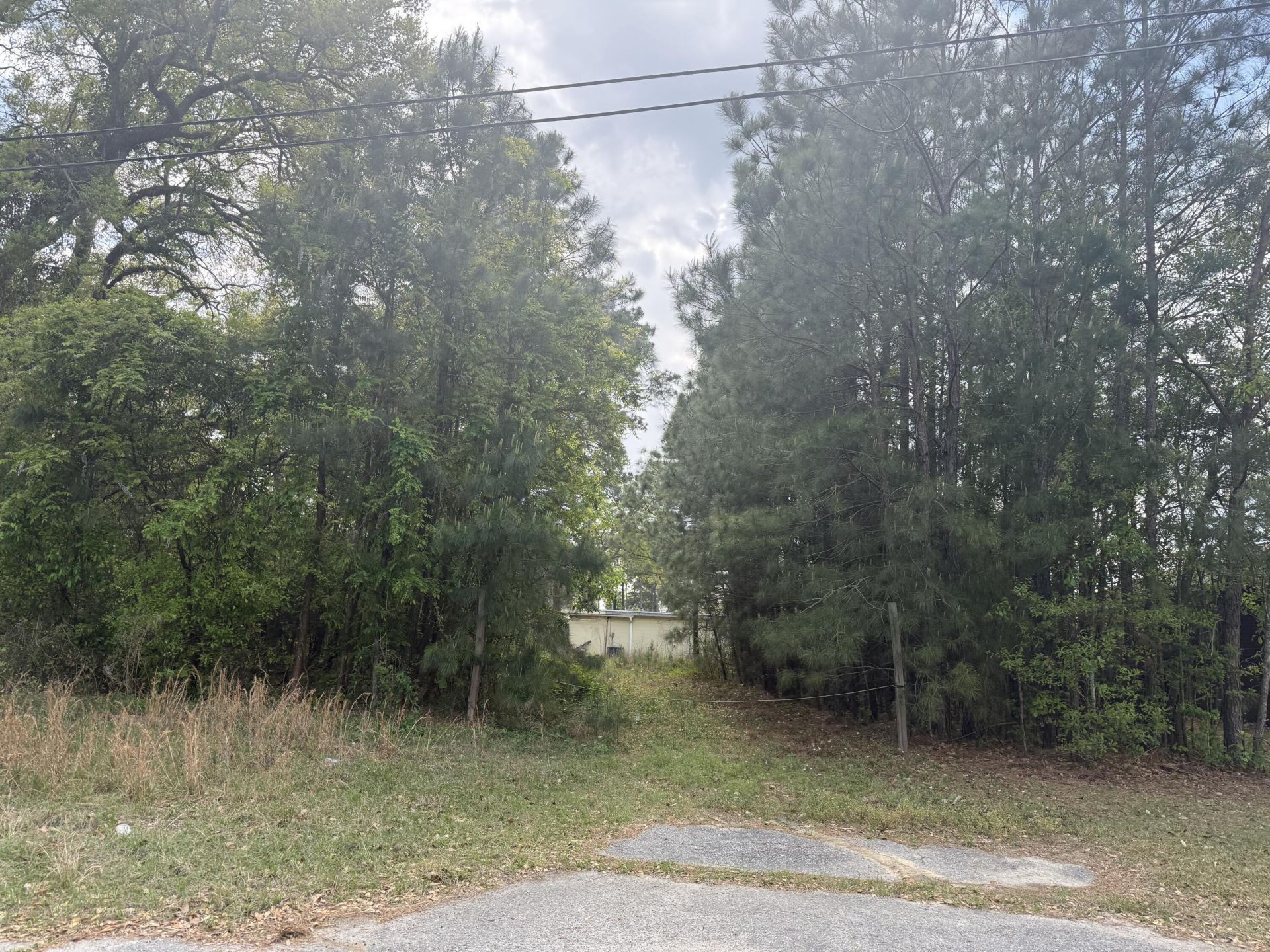 227 Red Bank Road Photo 5