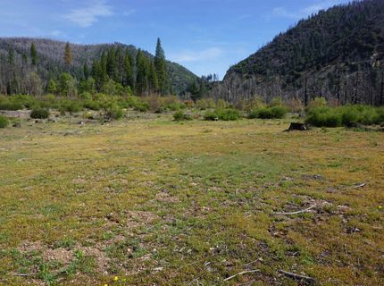11216 Highway 89, Taylorsville, CA 95983 Photo