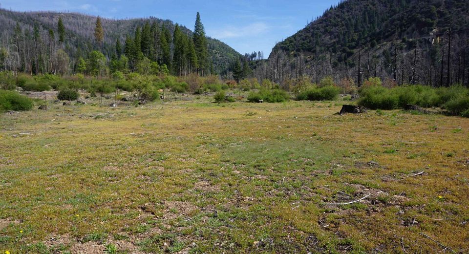 11216 Highway 89, Taylorsville, CA 95983 Photo