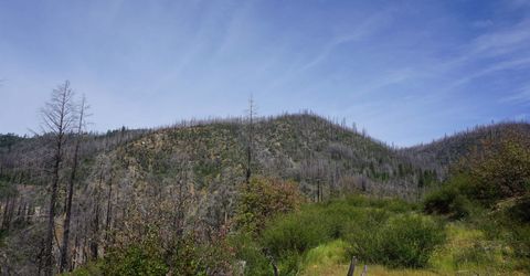11216 Highway 89, Taylorsville, CA 95983 Photo