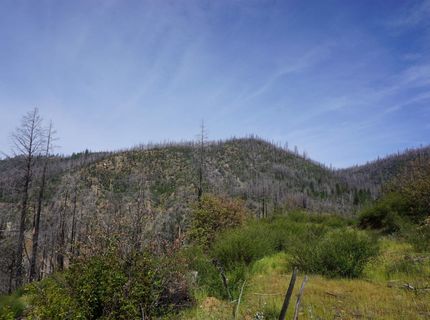 11216 Highway 89, Taylorsville, CA 95983 Photo