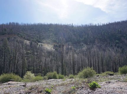 11216 Highway 89, Taylorsville, CA 95983 Photo