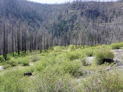 11216 Highway 89, Taylorsville, CA 95983 Photo