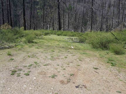 11216 Highway 89, Taylorsville, CA 95983 Photo