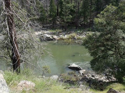11216 Highway 89, Taylorsville, CA 95983 Photo