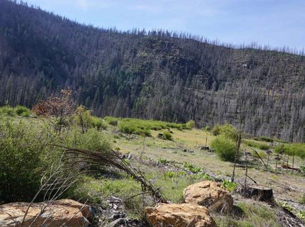 11216 Highway 89, Taylorsville, CA 95983 Photo