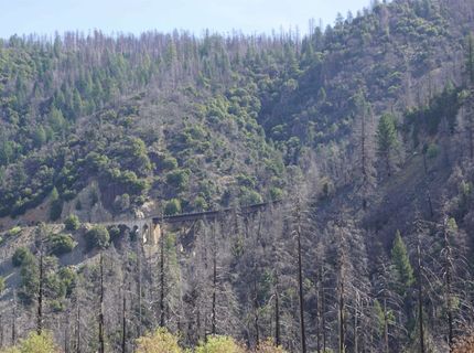 11216 Highway 89, Taylorsville, CA 95983 Photo