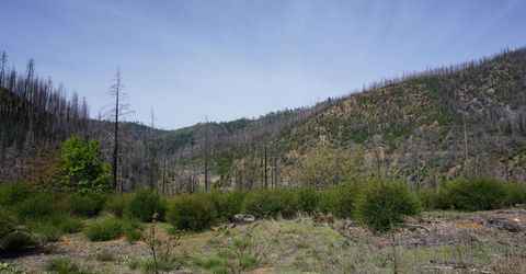 11216 Highway 89, Taylorsville, CA 95983 Photo