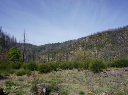 11216 Highway 89, Taylorsville, CA 95983 Photo