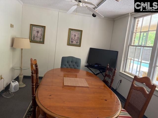 5516 Lakeshore Drive Photo 35