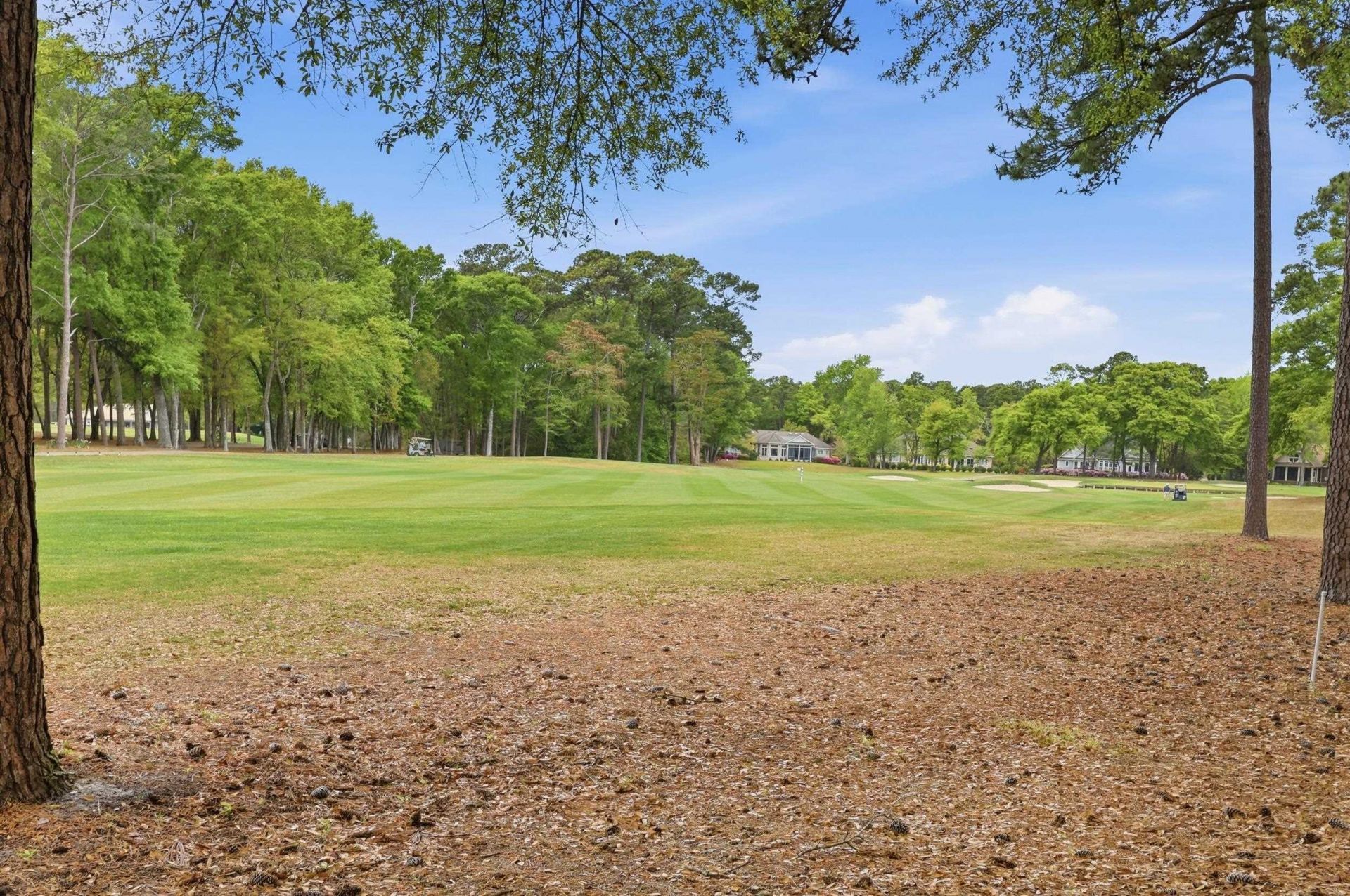 111 Weehawka Way Photo 39