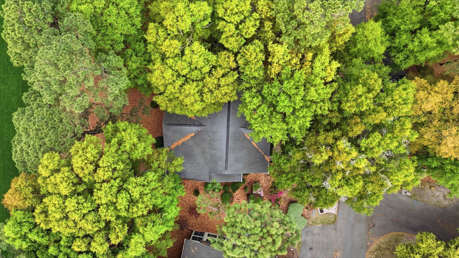 111 Weehawka Way Photo 68