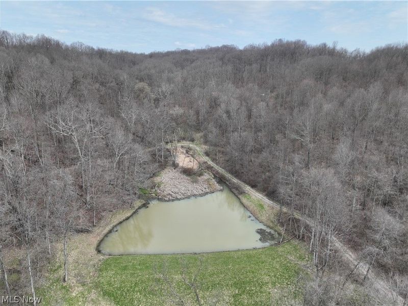 39000 Lees Run Road, Cadiz, OH 43907 Photo 10