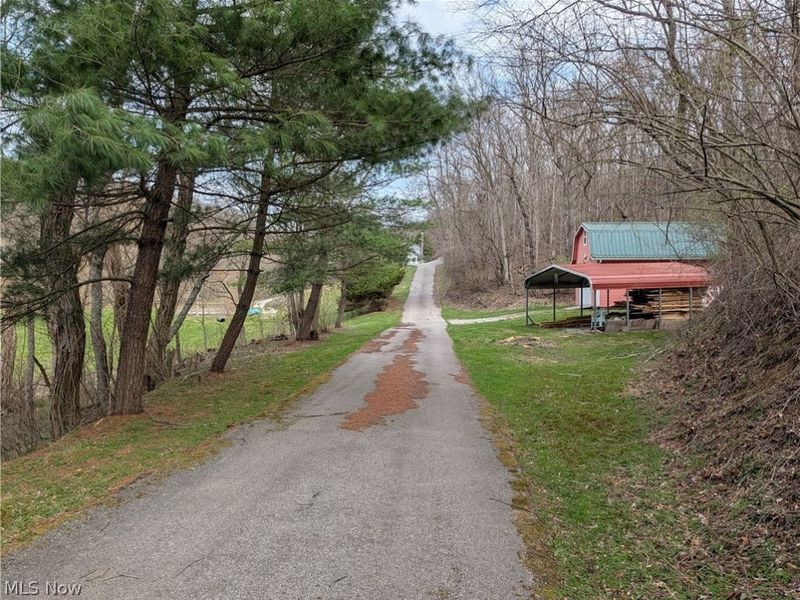 39000 Lees Run Road, Cadiz, OH 43907 Photo 11