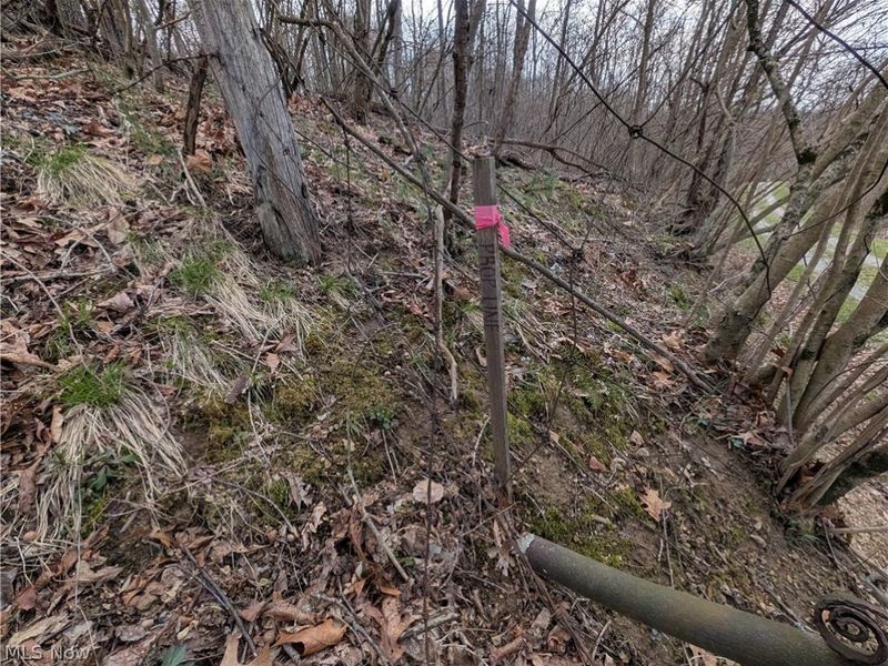 39000 Lees Run Road, Cadiz, OH 43907 Photo 12