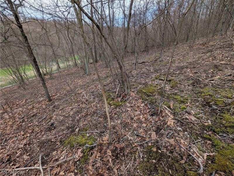 39000 Lees Run Road, Cadiz, OH 43907 Photo 14