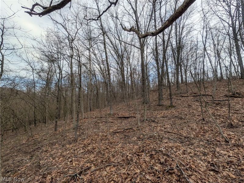 39000 Lees Run Road, Cadiz, OH 43907 Photo 15