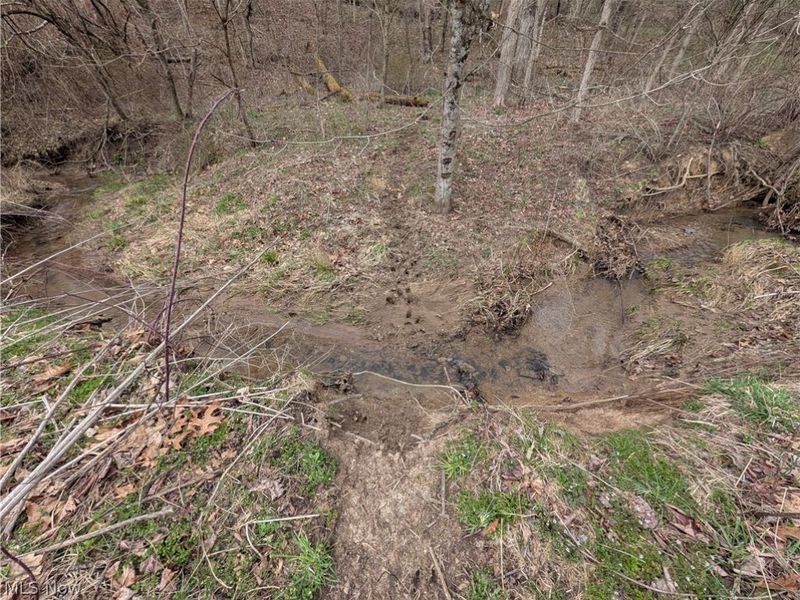 39000 Lees Run Road, Cadiz, OH 43907 Photo 16