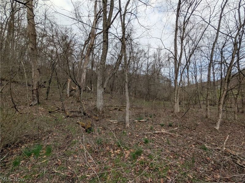 39000 Lees Run Road, Cadiz, OH 43907 Photo 17