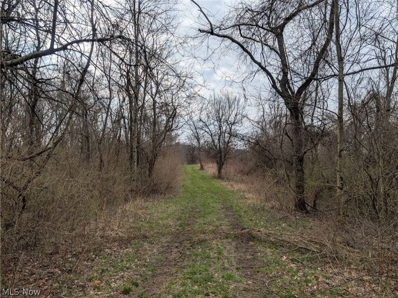 39000 Lees Run Road, Cadiz, OH 43907 Photo 18