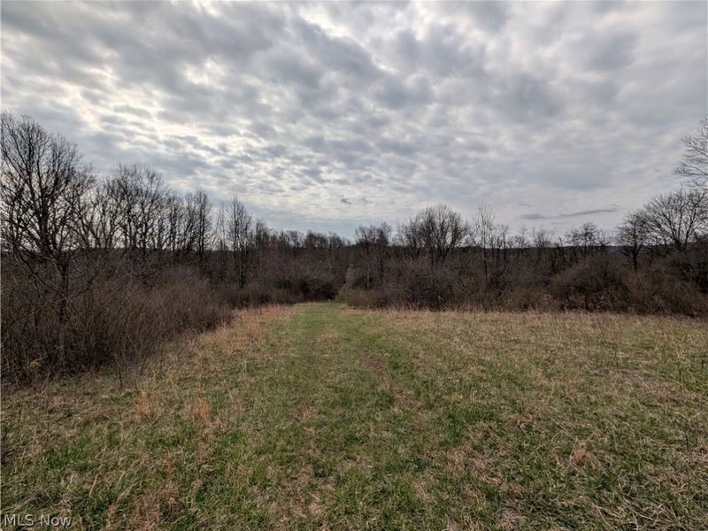 39000 Lees Run Road, Cadiz, OH 43907 Photo 19