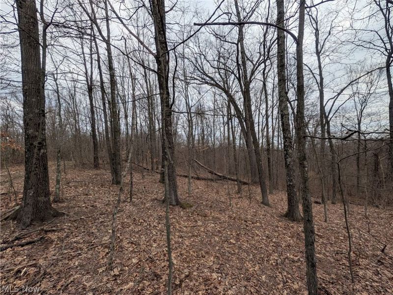 39000 Lees Run Road, Cadiz, OH 43907 Photo 20