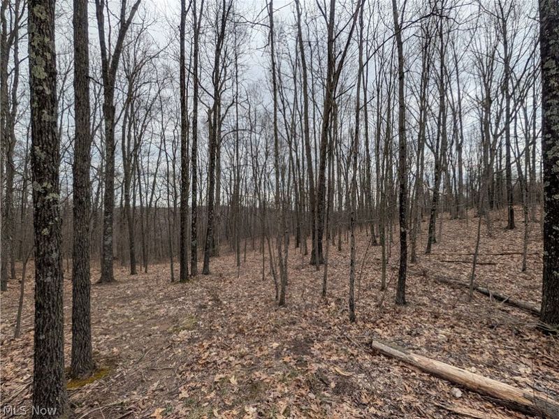 39000 Lees Run Road, Cadiz, OH 43907 Photo 21