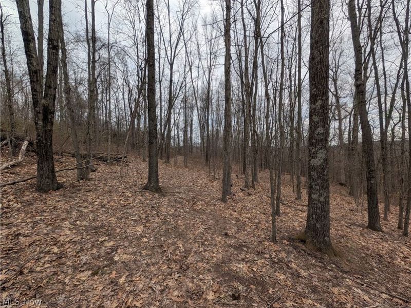 39000 Lees Run Road, Cadiz, OH 43907 Photo 22