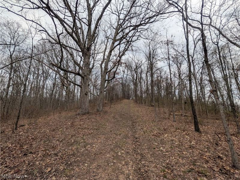 39000 Lees Run Road, Cadiz, OH 43907 Photo 24