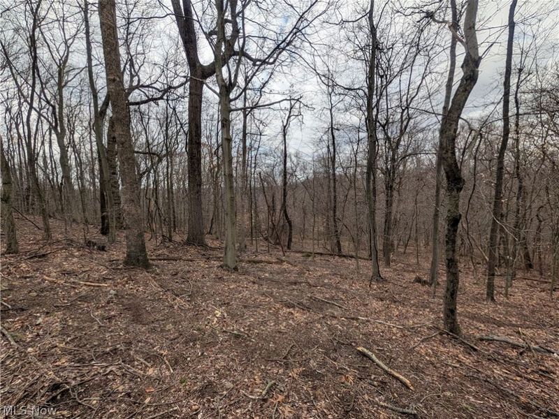 39000 Lees Run Road, Cadiz, OH 43907 Photo 26