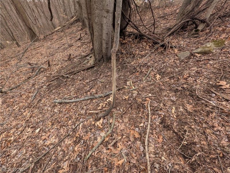 39000 Lees Run Road, Cadiz, OH 43907 Photo 27