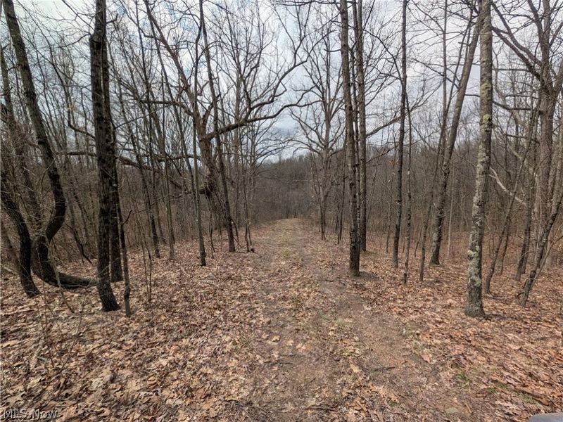 39000 Lees Run Road, Cadiz, OH 43907 Photo 28