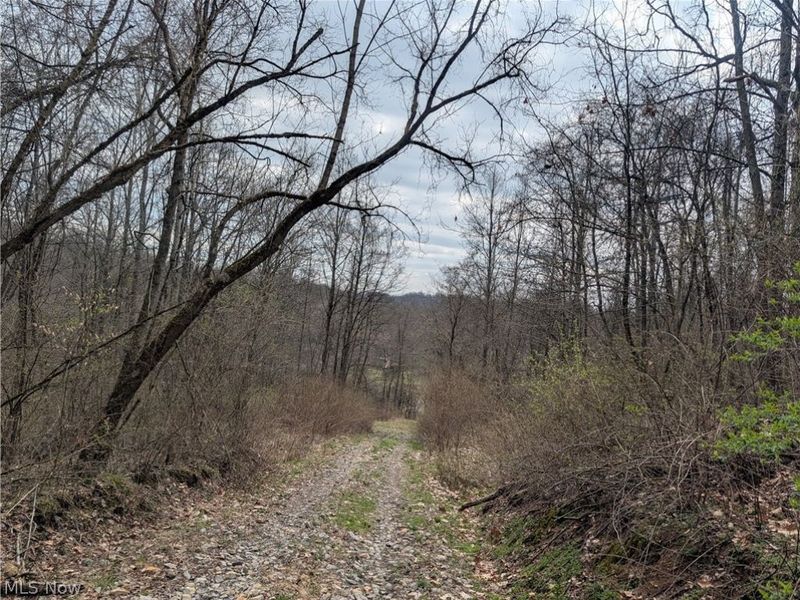 39000 Lees Run Road, Cadiz, OH 43907 Photo 29