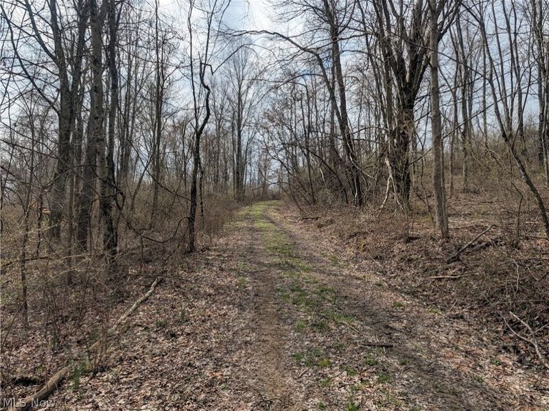 39000 Lees Run Road, Cadiz, OH 43907 Photo 30