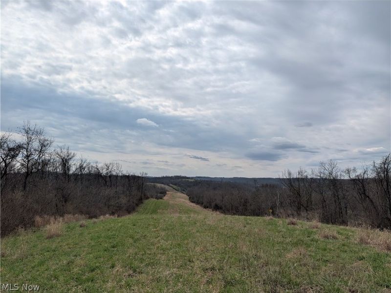 39000 Lees Run Road, Cadiz, OH 43907 Photo 31