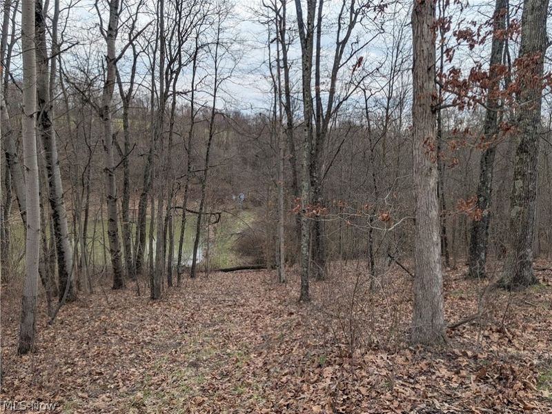 39000 Lees Run Road, Cadiz, OH 43907 Photo 32